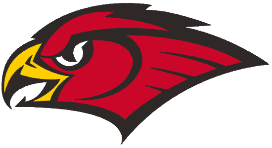 Atlanta Hawks 1998-2007 Secondary Logo t shirts DIY iron ons